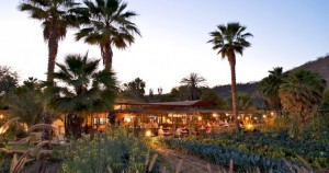 Flora Farm
